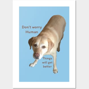 Don’t Worry Human Posters and Art